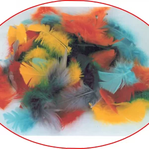 Bunte Federn / Regenbogenfedern