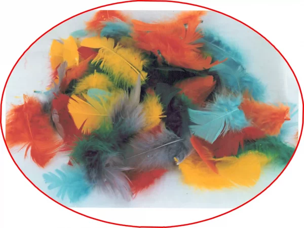 Bunte Federn / Regenbogenfedern
