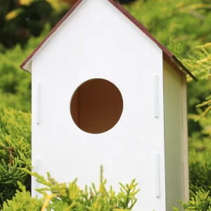 Vogel-Nistkasten aus Öko-Holz – Zum Basteln, Beobachten & Bemalen