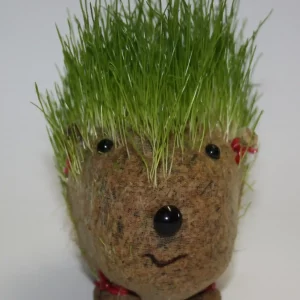 Gras-Haustier